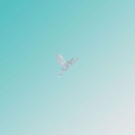تصویر زبانه کندی قدیم چپ